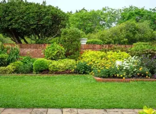 landscaping services Burkesville